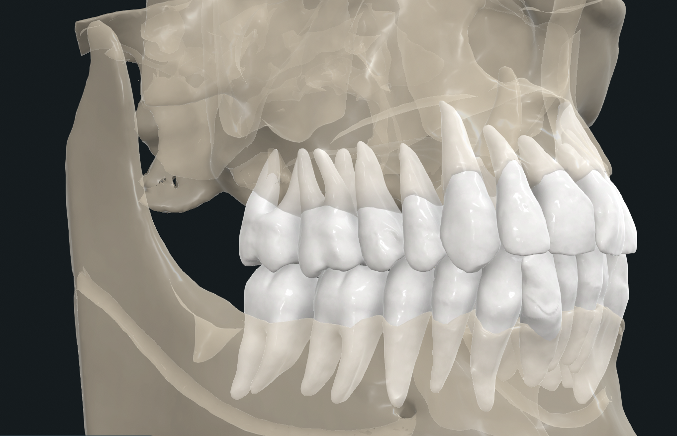 3D Segmentation
